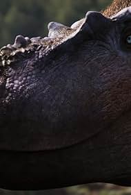 Watch Free Walking with Dinosaurs (2025–)