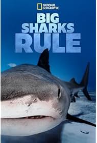 Watch Free Big Sharks Rule (2018–)
