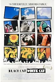 Watch Free Black Cat, White Cat (1998)