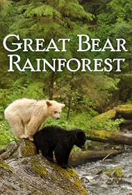 Watch Free Great Bear Rainforest (2019)