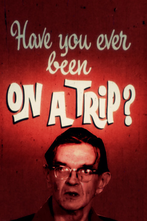 Watch Free Have You Ever Been on a Trip (1970)