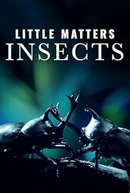 Watch Free Little Matters Insects (2014)