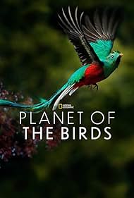 Watch Free Planet of the Birds (2018)