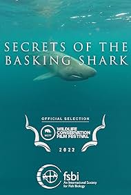 Watch Free Secrets of the Basking Shark (2022)
