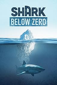 Watch Free Shark Below Zero (2023)