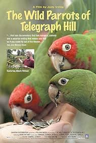 Watch Free The Wild Parrots of Telegraph Hill (2003)