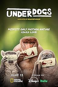 Watch Free Underdogs (2025–)