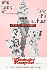 Watch Free The Swingin Pussycats (1969)